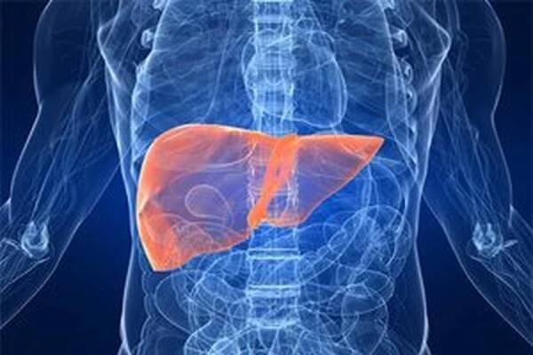 Chronická hepatitida C / Hepatitida