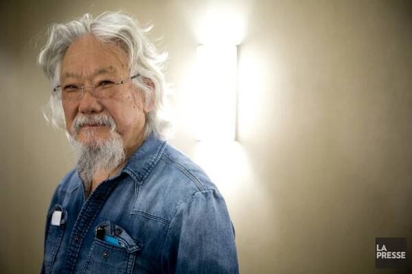 Portrait of Dr. David Suzuki, environmentalist and scientist, with a thoughtful expression, conveying his dedication to environmental advocacy.