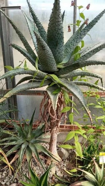 Botanická zahrada foto 5