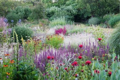 Layered perennial planting in a Cheshire garden