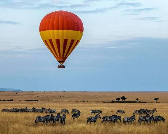 Řekneme vám vše o Masai Mara v Keni