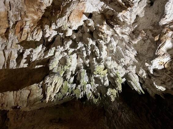 Postojna Cave, Slovenia: Complete Guide to Exploring