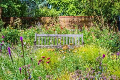 anglická zahrada s dřevěnou lavicí a květy - divoká rostlina - stock snímky, obrázky a fotky