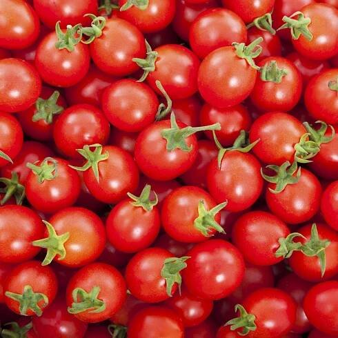 Rajče Sweetie – Solanum lycopersicum – prodej semen rajčat