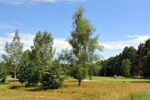 Golfové hřiště Lázně Bohdaneč foto 6