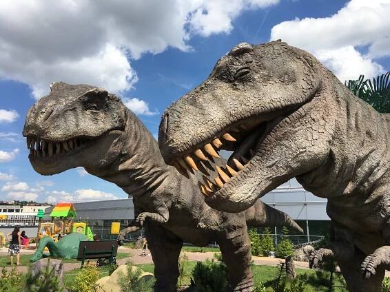 Srovnání českých Dinoparků