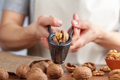 Louskáček na ořechy (Zdroj: Shutterstock)