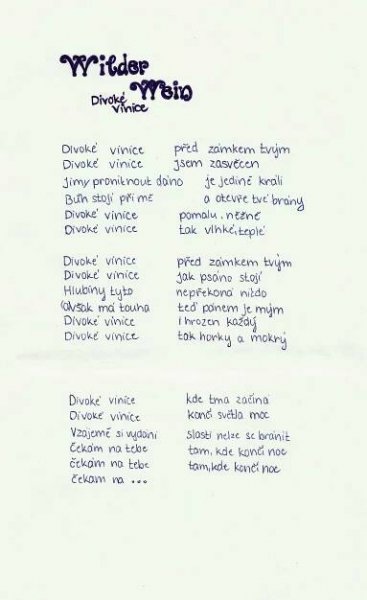 Hudební texty & poezie - Kristina Haidingerová