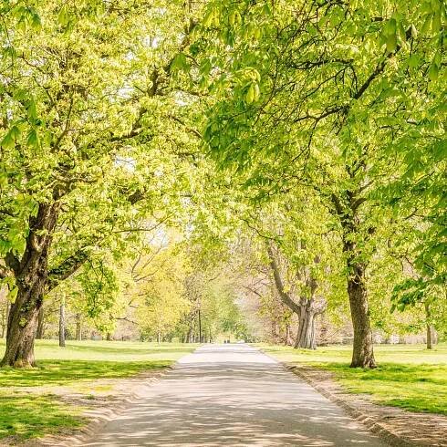 What to Do During a Half Day in London