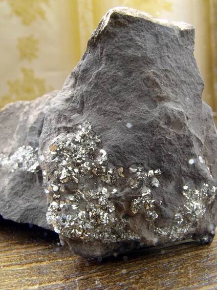 Graptolitic argillite