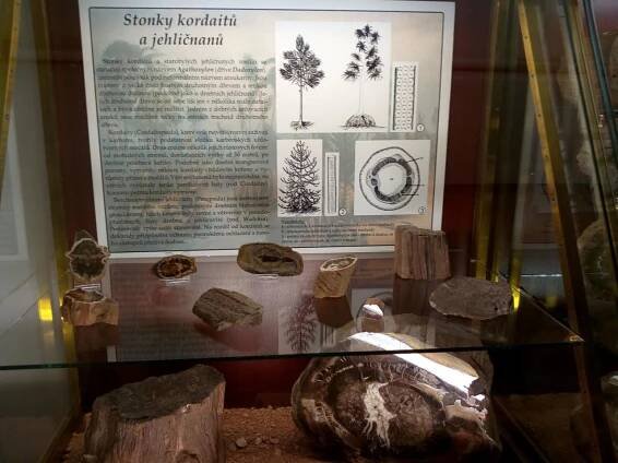 Muzeum Klenotnice v Nové Pace - Oficiální stránky obce Milovice u Hořic