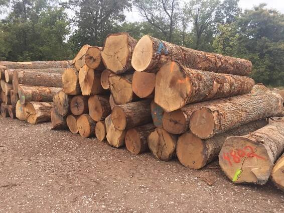 Photo Gallery - IVT Logs