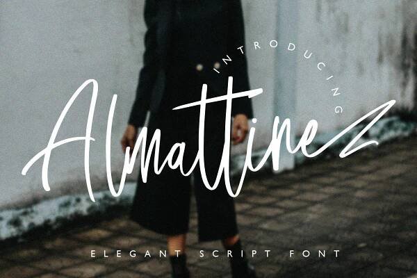 Elegant Fonts Image 19