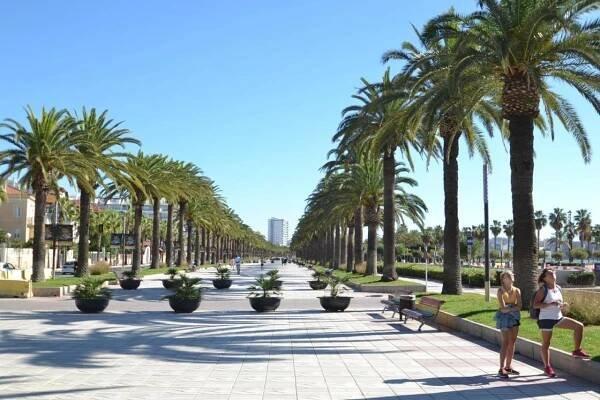 Wvp Riviera Park J 公寓 *