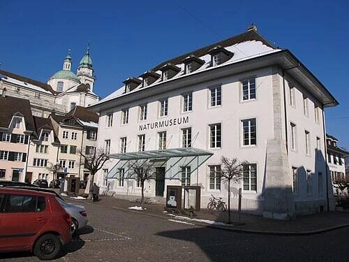 Solothurn – Wikipedie