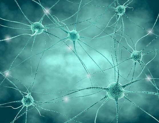 lidský nervový systém . nervové buňky se synapsemi a neurotransmitery 3d ilustrace. - nervová tkáň - stock snímky, obrázky a fotky