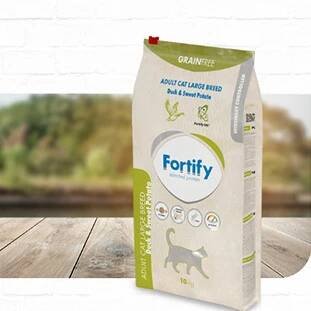 Naše aktivity | Fortify