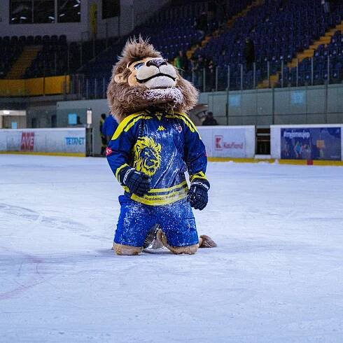 MiStr31 - foto - 1.2.2025 HC Slovan Ústí nad Labem vs HC Wikov Hronov