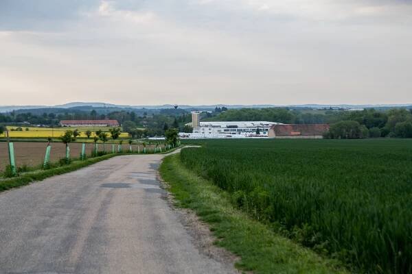 Pohled na Petrovice (2019)