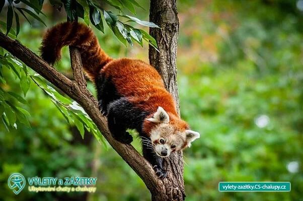Zoopark Chomutov