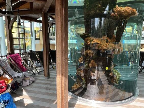 Therme Bad Schallerbach: Aquapulco Pirate World & Tropicana
