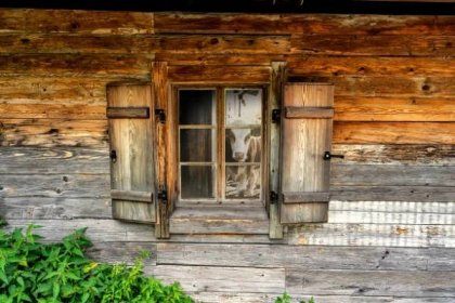 dřevěné chatové okno farmy v tyrolsku s odrazem krávy - horská chata - stock snímky, obrázky a fotky