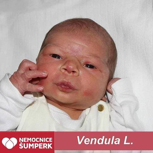 Vendula L. Šumperk