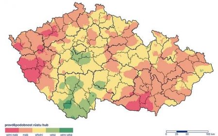 Houby rostou nejvíc na jihu Čech - Novinky