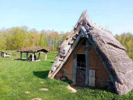 Exkurze Nasavrky, včelařské učiliště, keltské oppidum | Základní škola Pardubice-Dubina, Erno Košťála 870