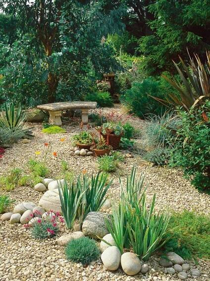 a garden filled with lots of different types of plants and rocks in the middle of it