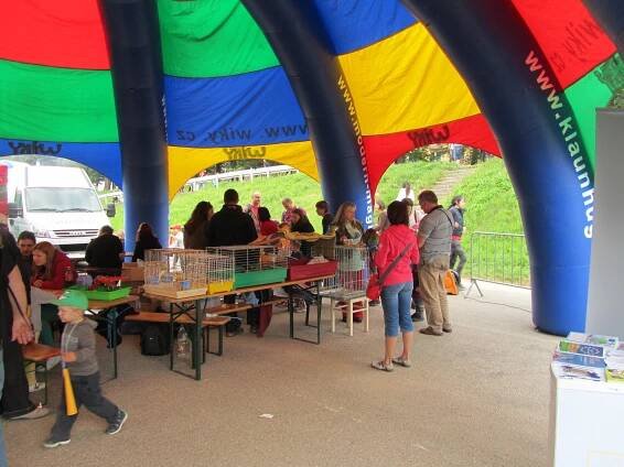 vlt9 - Informační centrum pro mládež České Budějovice
