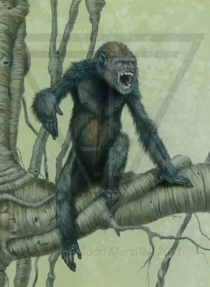 Dryopithecus • Dinosaurs - Pictures and Facts