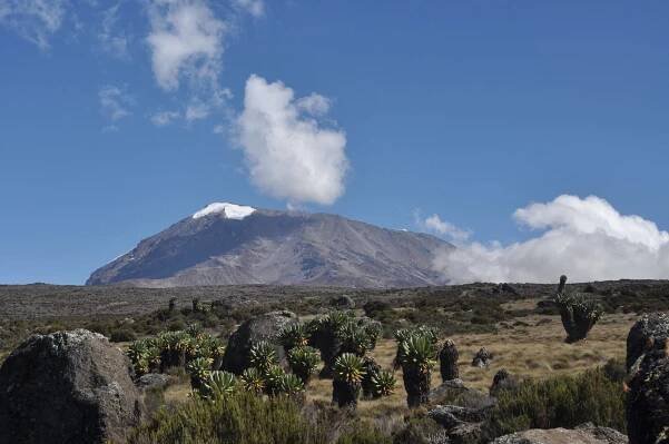 Kilimanjaro