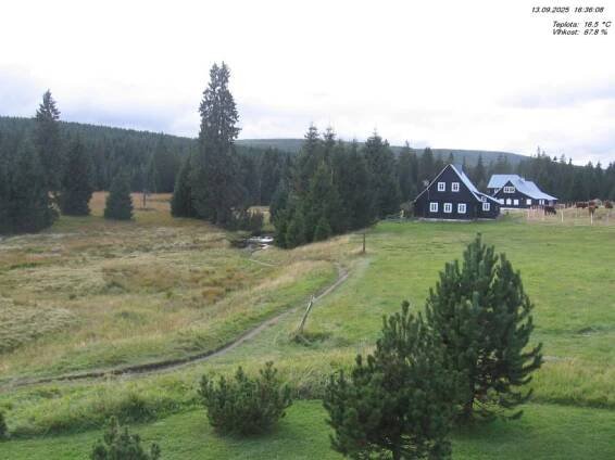 Jizerka - rašeliniště