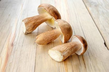 4 důvody, proč jsou houby skvělé pro naše zdraví + recept na steak s domácím houbovým máslem - Chefshop.cz