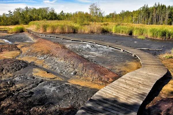 Národní přírodní rezervace Soos aneb český Yellowstone | Slevomat.cz