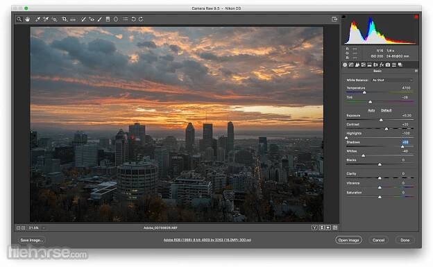 Adobe Camera Raw 17.5 Screenshot 1