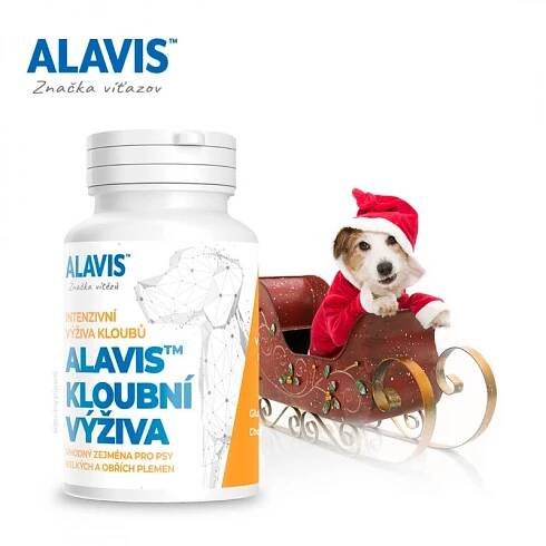 Kĺbová výživa pre psy a mačky. 