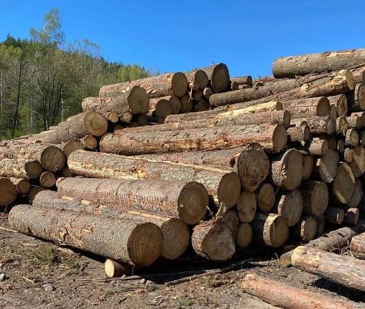 CZECH TIMBER