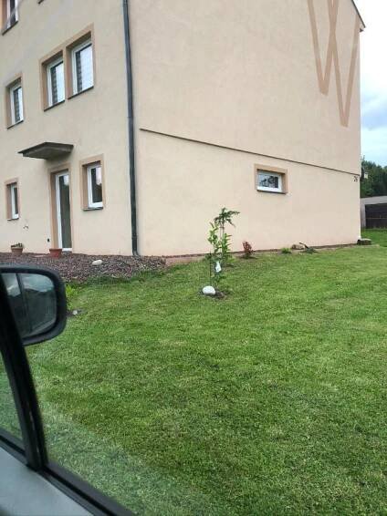 W apartmán Teplice nad Metují Exteriér fotografie