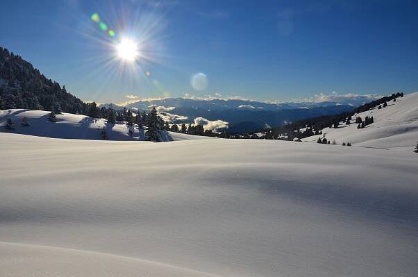 k-2014 - Brenta Winter (2)