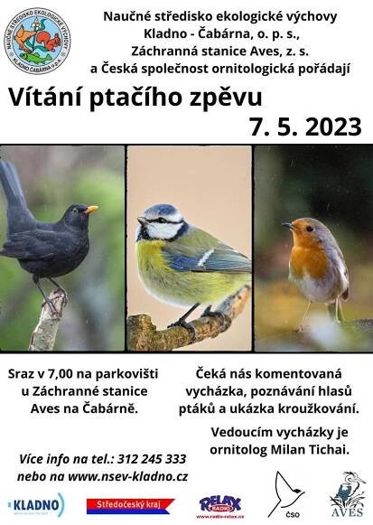Ptačí zpěv