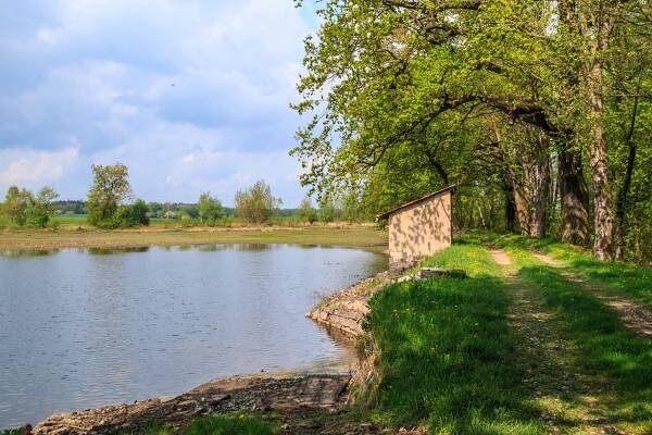 Urbanický rybník