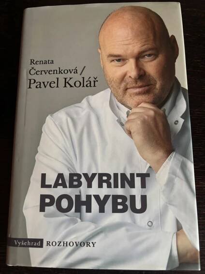Kniha Labyrint pohybu - Trh knih - online antikvariát
