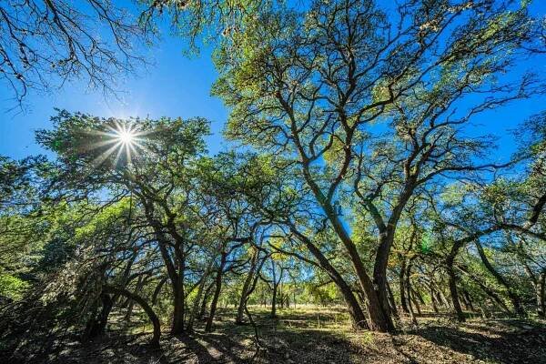 Kendall County | Black Creek Ranch | E of Boerne | Texas Ranches For Sale