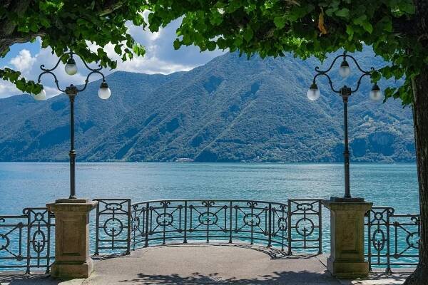a body of water with trees and lights by it