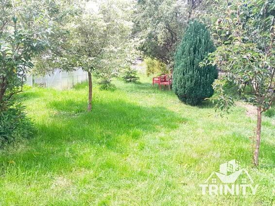 NA PREDAJ rodinný dom v príjemnom prostredí s veľkým pozemkom v obci Komoča | TRINITY Real s.r.o.