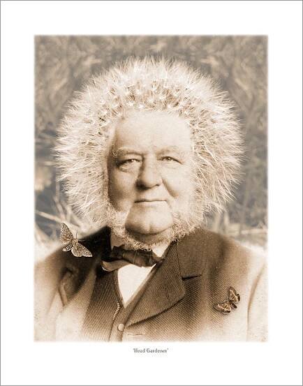 Head Gardener