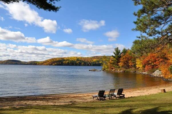Cottage #834