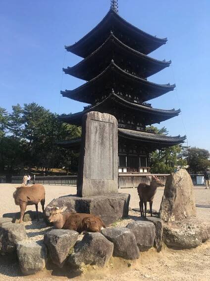 Letní zájezd do Japonska — CK Niké Veritas